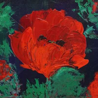 Poppies in red 3 - Acryl op doek - 40 x 45